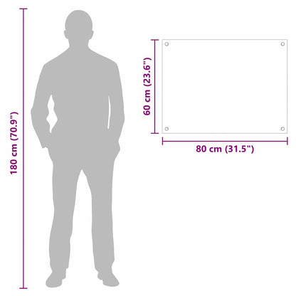 Küchenrückwand Transparent 80 x 60 cm Gehärtetes Glas