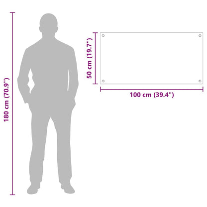 Küchenrückwand Transparent 100 x 50 cm Gehärtetes Glas