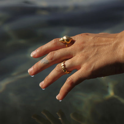 CONCHIGLIA DORATA Ring - Shopgalaxy.ch