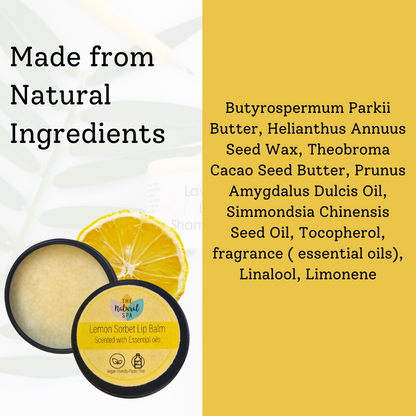 Lemon Sorbet All Natural Lip Balm-3