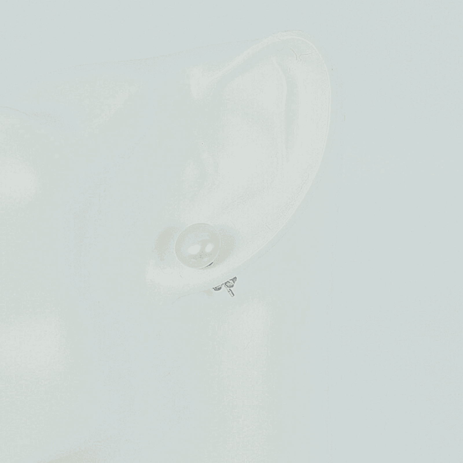 Freshwater White Pearls Esperance Earrings 8-9 mm AAA - Shopgalaxy.ch