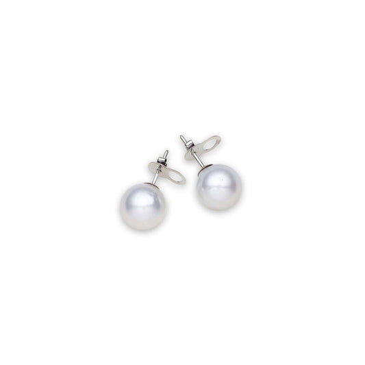 South Sea White Pearls Ryde 14ct White Gold Earrings 12-13 mm AAA - Shopgalaxy.ch