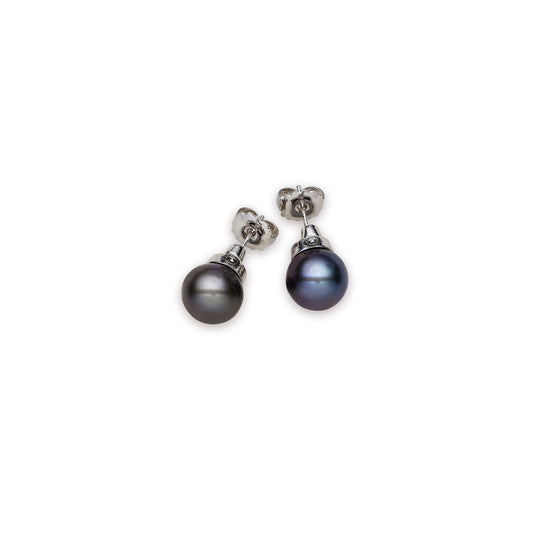 Tahitian South Sea Black Pearls Mittagong Earrings 12-13 mm AA - Shopgalaxy.ch