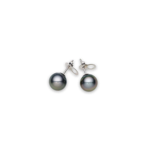Tahitian South Sea Black Pearls Prague 14ct White Gold Earrings 10-11 mm AAA - Shopgalaxy.ch