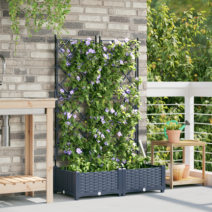 Gartenpflanzer mit Gitter 2 pcs Grau 80 x 40 x 125,5 cm PP